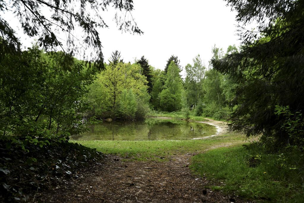 Buitenplaats Gerner Dalfsen Dış mekan fotoğraf